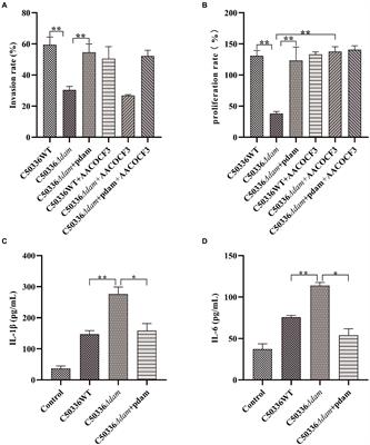 The DNA adenine methylase of Salmonella Enteritidis promotes their intracellular replication by inhibiting arachidonic acid metabolism pathway in macrophages